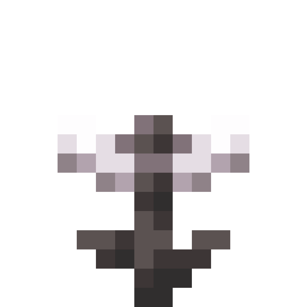 Contact icon
